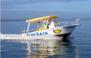 Equipo para visita guiada de ballenas